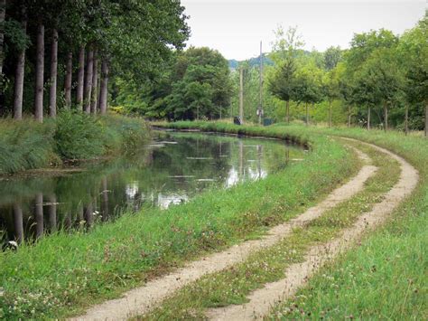 qualité de l'eau du canal de l'ourcq